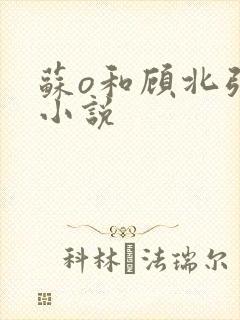 苏o和顾北弦的小说