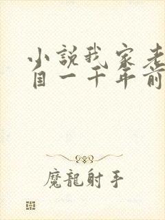 小说我家老婆来自一千年前完整版