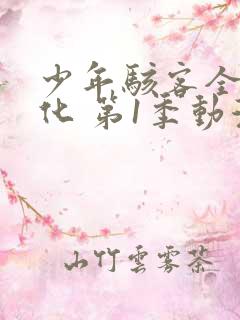 少年骇客全面进化 第1季动漫免费看