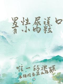 男性尿道口下方有小肉粒