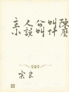 主人公叫陈阳的小说叫什么名字