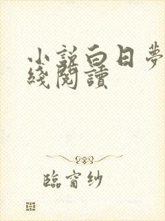 小说白日梦我在线阅读