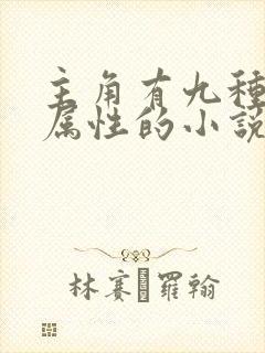 主角有九种极致属性的小说