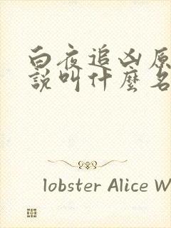 白夜追凶原著小说叫什么名字