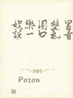 娱乐圈双男主小说一口气看完
