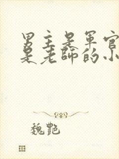 男主是军官女主是老师的小说