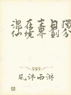 混在末日独步成仙境界划分