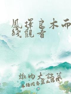 凤择良木而栖在线观看