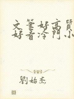 文笔好高质量超好看冷门小说