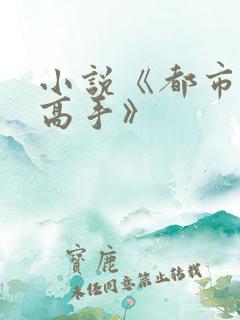 小说《都市绝品高手》