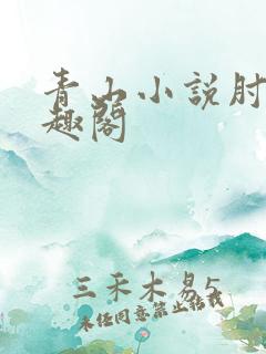 青山小说肘子笔趣阁