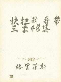 快把我哥带走第三季48集