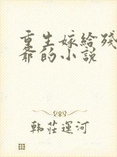 重生嫁给残疾王爷的小说