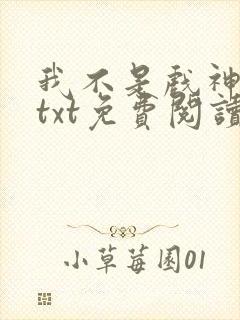 我不是戏神小说txt免费阅读