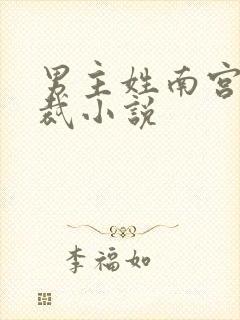 男主姓南宫的总裁小说