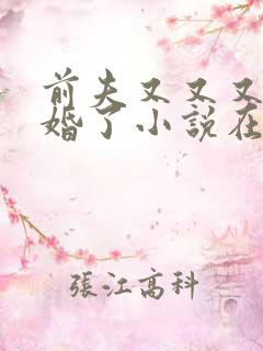 前夫又又又想复婚了小说在线阅读