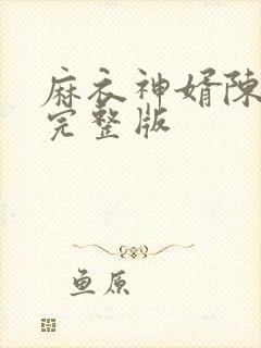 麻衣神婿陈黄皮完整版