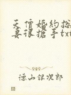 天价婚约总裁前妻很抢手txt