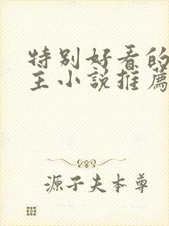 特别好看的双男主小说推荐