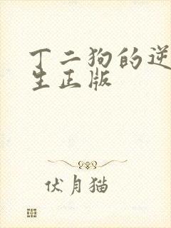 丁二狗的逆袭人生正版