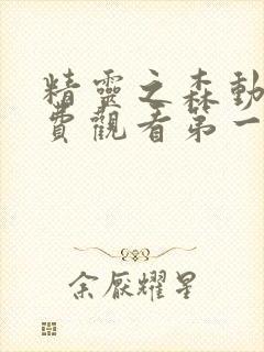 精灵之森动漫免费观看第一集