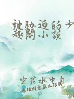 被胁迫的少年笔趣阁小说