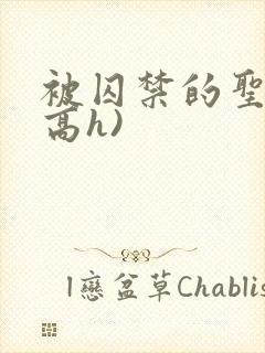 被囚禁的圣女(高h)