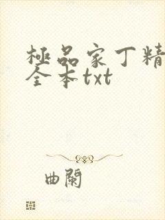 极品家丁精校版全本txt
