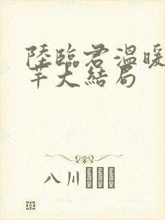 陆临君温暖何芊芊大结局