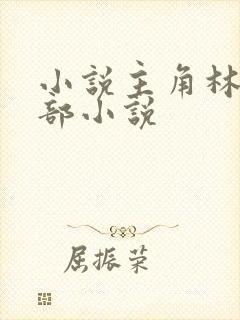 小说主角林凡全部小说