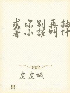 求你别再抽了原著小说叫什么