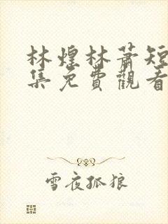 林煌林萧短剧全集免费观看