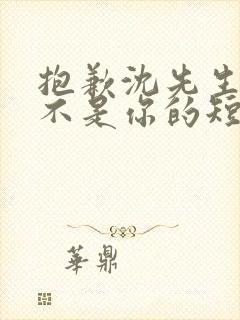 抱歉沈先生孩子不是你的短剧在线免费观看