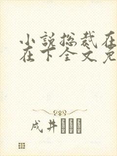 小说总裁在上我在下全文免费阅读