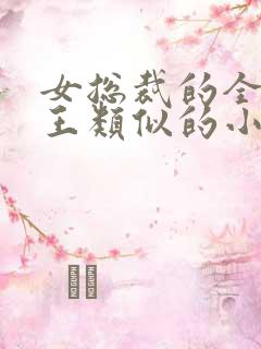 女总裁的全能兵王类似的小说