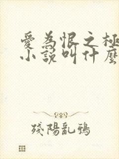 爱为恨之极原著小说叫什么名字