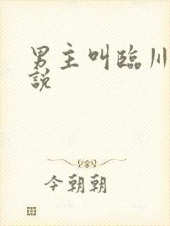 男主叫临川的小说