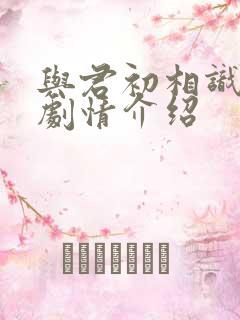 与君初相识分集剧情介绍