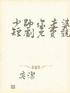 少帅你老婆又跑短剧免费观看