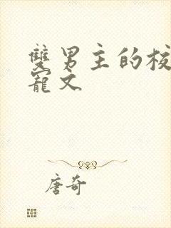 双男主的校园甜宠文