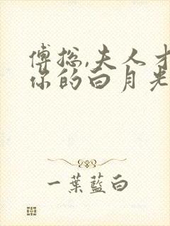 傅总,夫人才是你的白月光短剧