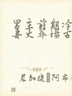 男主前期冷淡追妻火葬场古言