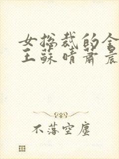 女总裁的全能兵王苏晴萧晨