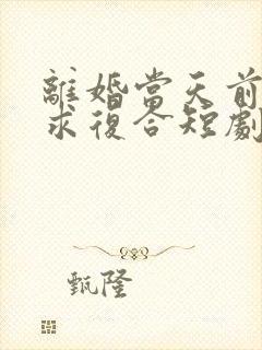 离婚当天前夫跪求复合短剧