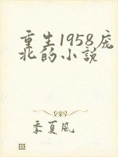 重生1958庞北的小说