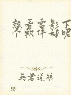 想看电影下载那个软件好呢