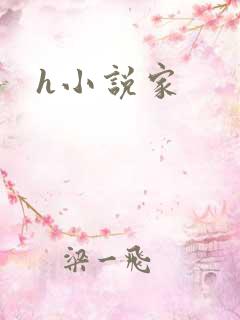 h小说家