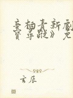 辛柏青新剧《护宝寻踪》免费观看