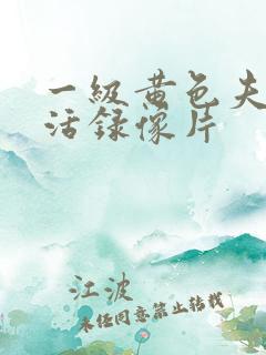 一级黄色夫妻生活录像片