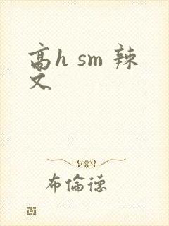 高h sm 辣文
